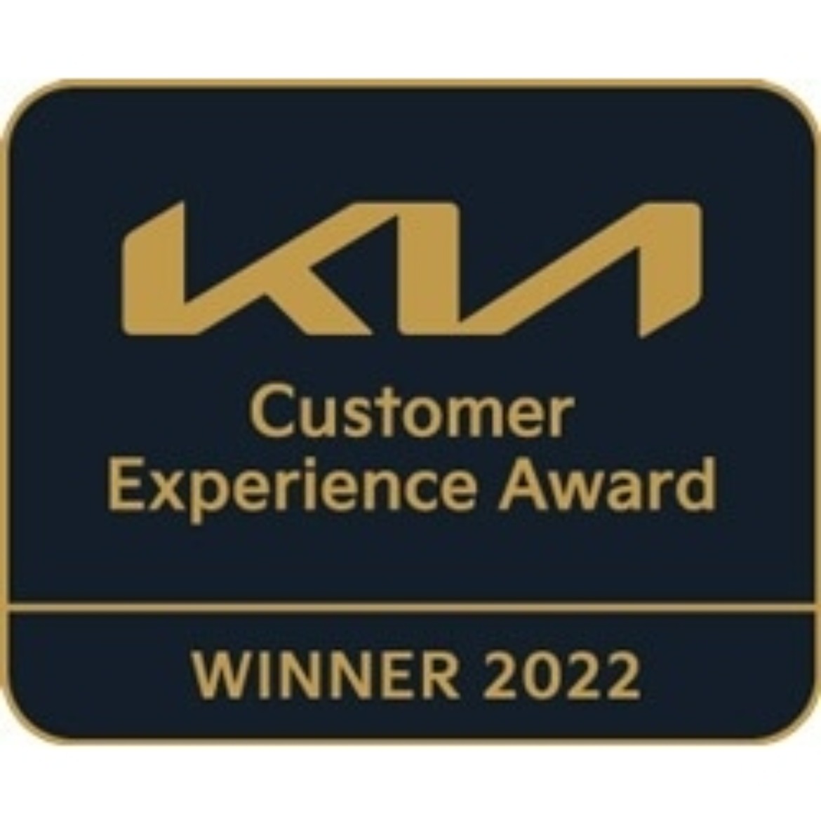 Drayton Motors Boston wins customer experience award 2021